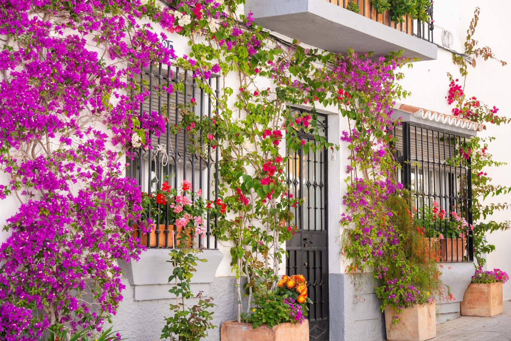 Jardines Del Mar 527 Apartment Marbella Exterior foto